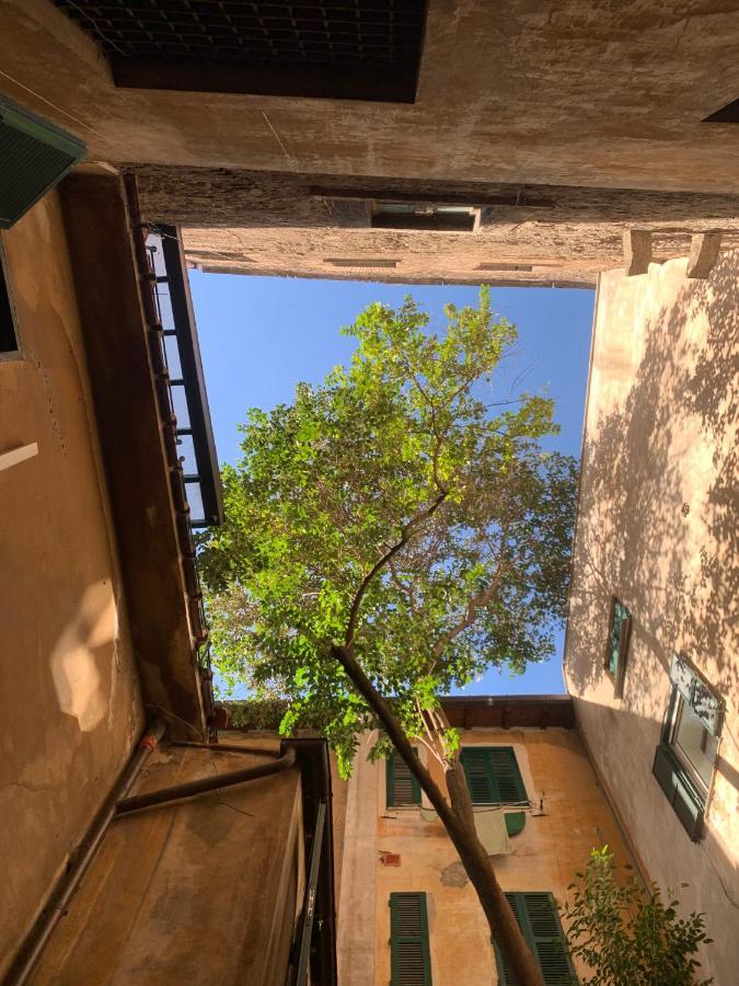 Navona Apartment Ρώμη Εξωτερικό φωτογραφία
