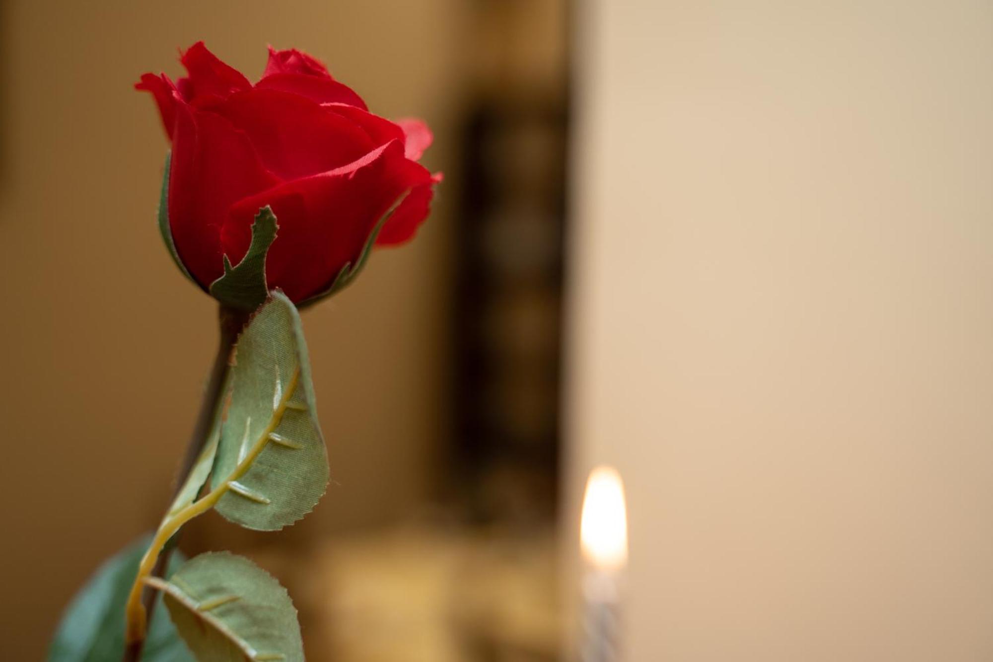 Navona Apartment Ρώμη Εξωτερικό φωτογραφία